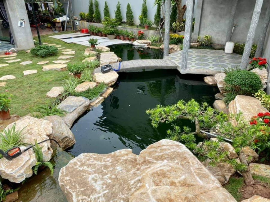 XÂY DỰNG HỒ CÁ KOI